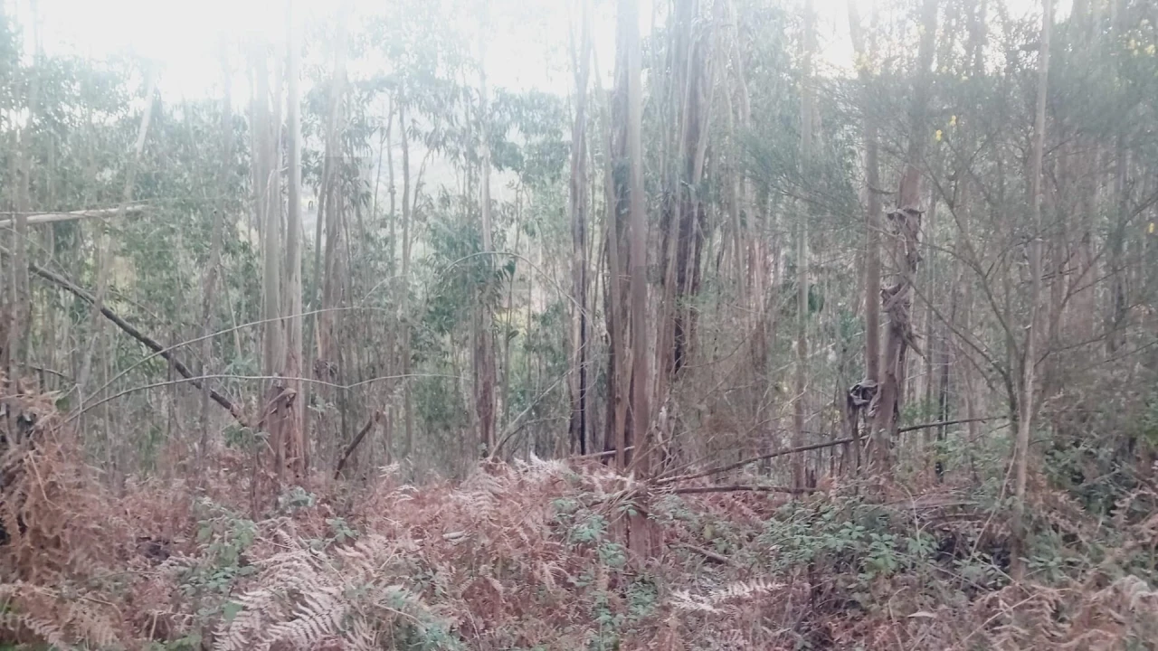 Moradia T3 para Venda em Maçãs de D. Maria Foto 1