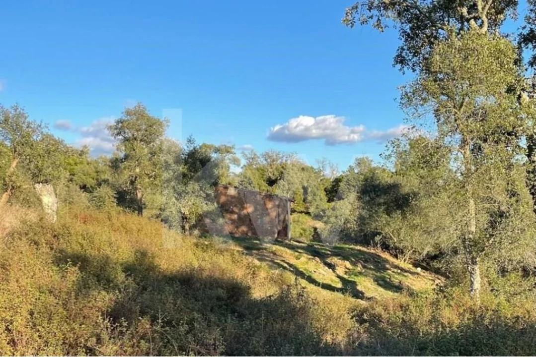 Quinta T1 para Venda em São Francisco da Serra Foto 5