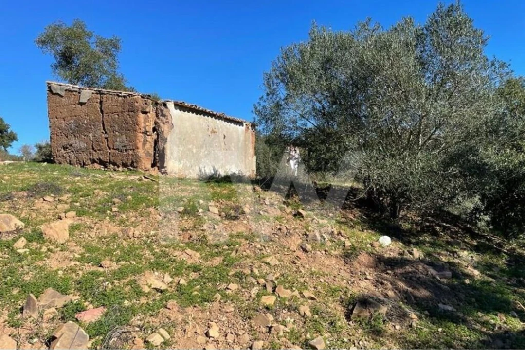 Quinta T1 para Venda em São Francisco da Serra Foto 3