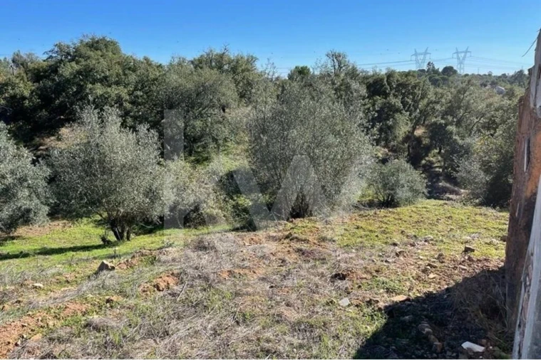 Quinta T1 para Venda em São Francisco da Serra Foto 4