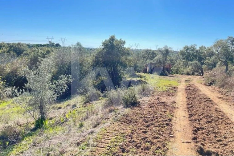 Quinta T1 para Venda em São Francisco da Serra Foto 6