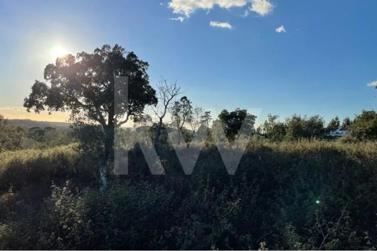 Quinta T1 para Venda em São Francisco da Serra Foto 1