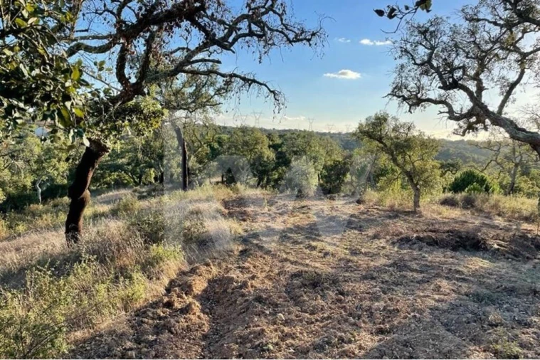 Quinta T1 para Venda em São Francisco da Serra Foto 8