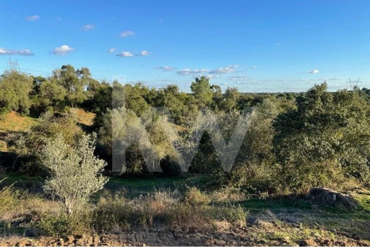 Quinta T1 para Venda em São Francisco da Serra Foto 9