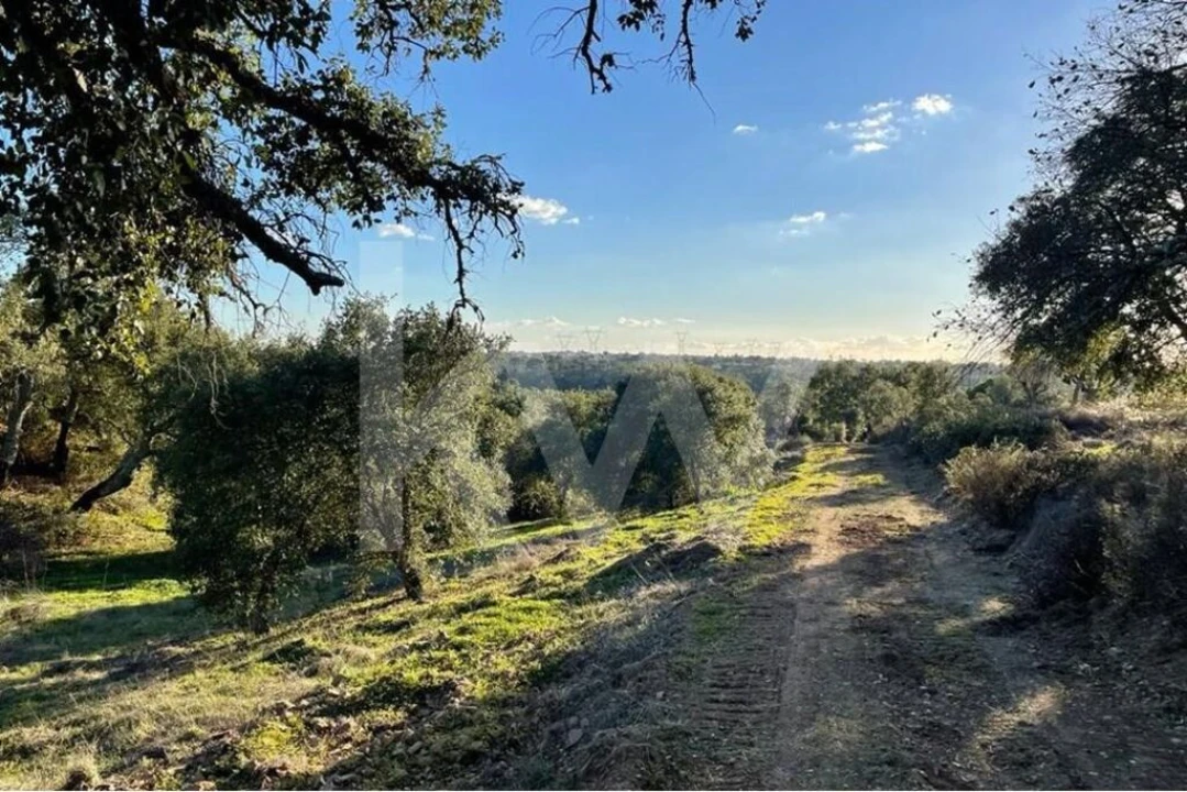 Quinta T1 para Venda em São Francisco da Serra Foto 7
