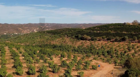 Terreno para Venda em Silves