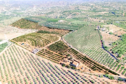 Terreno para Venda em Silves