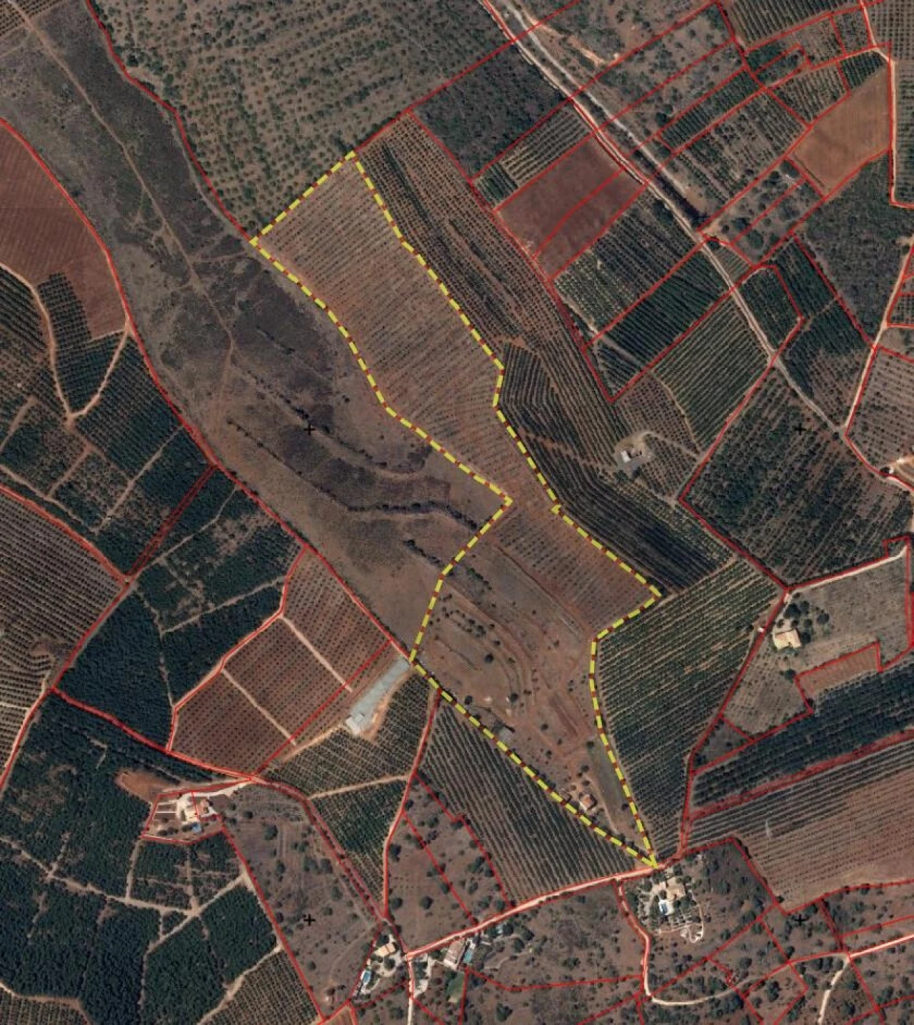 Terreno para Venda em Silves Foto 18