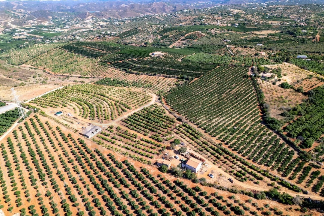 Terreno para Venda em Silves Foto 5