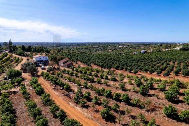 Terreno para Venda em Silves Foto 3