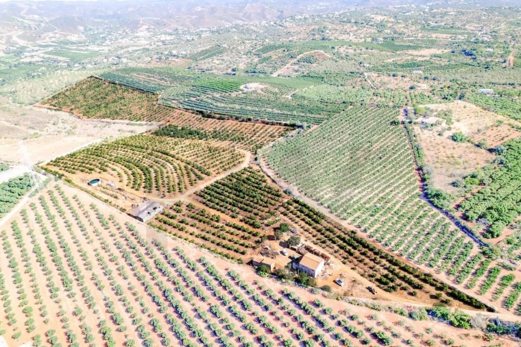 Terreno para Venda em Silves Foto 9