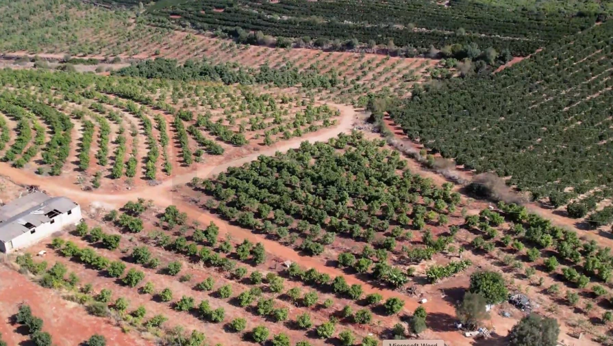 Terreno para Venda em Silves Foto 16