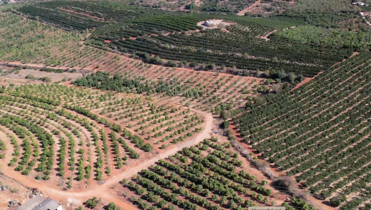 Terreno para Venda em Silves Foto 15