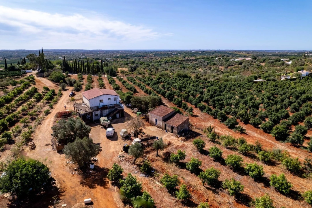 Terreno para Venda em Silves Foto 4