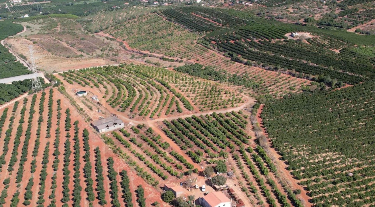 Terreno para Venda em Silves Foto 12