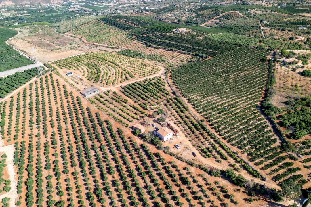 Terreno para Venda em Silves Foto 10