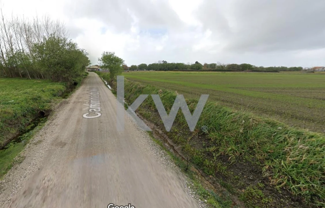Terreno para Venda em Ílhavo (São Salvador) Foto 5