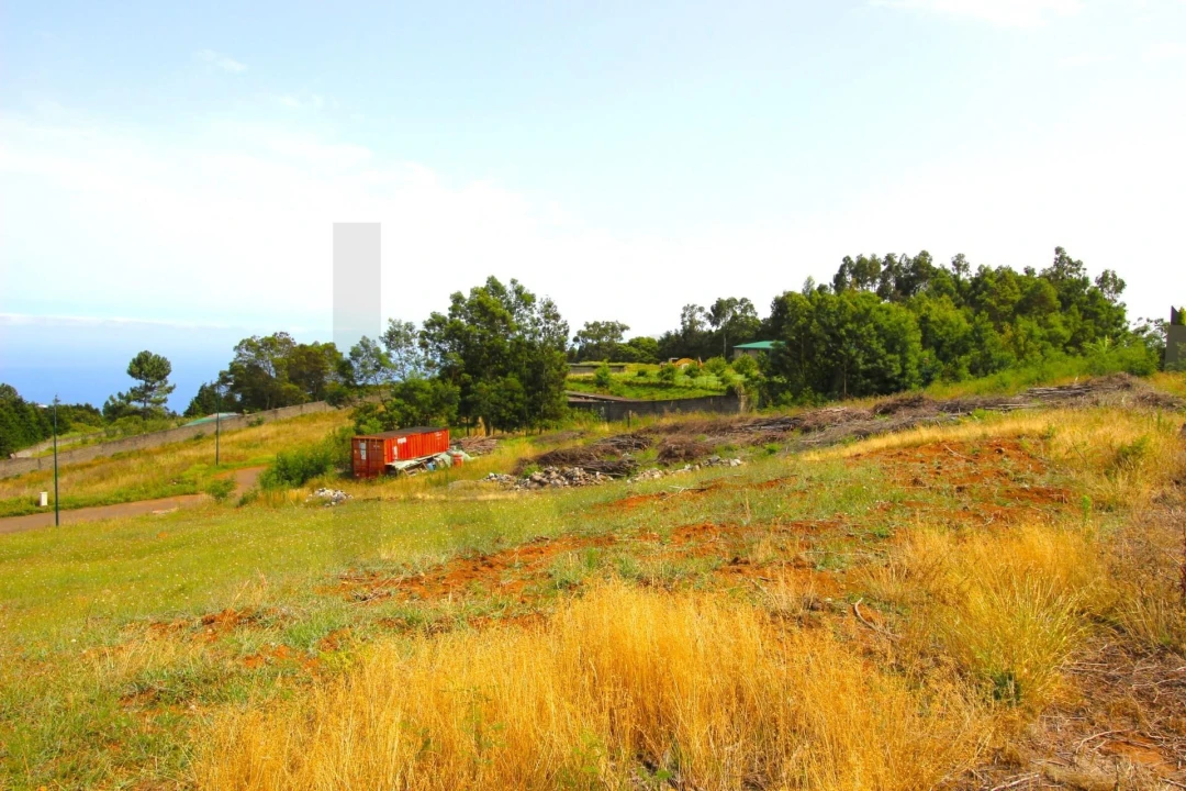 Terreno para Venda em Santa Cruz Foto 38