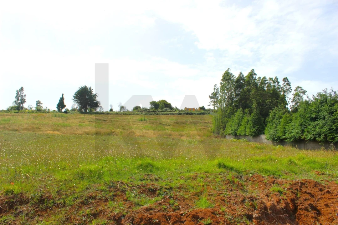 Terreno para Venda em Santa Cruz Foto 49