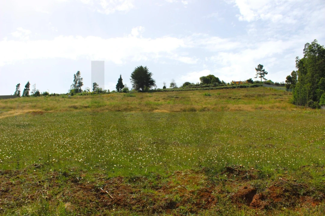 Terreno para Venda em Santa Cruz Foto 51