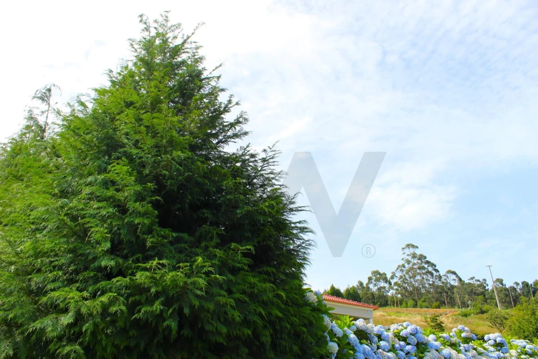Terreno para Venda em Santa Cruz Foto 47