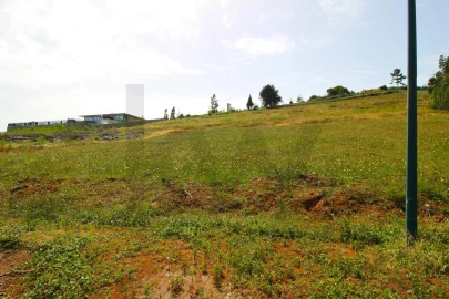 Terreno para Venda em Santa Cruz
