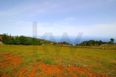Terreno para Venda em Santa Cruz