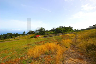 Terreno para Venda em Santa Cruz