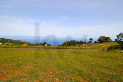 Terreno para Venda em Santa Cruz