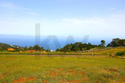 Terreno para Venda em Santa Cruz