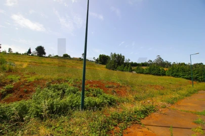 Terreno para Venda em Santa Cruz