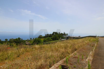 Terreno para Venda em Santa Cruz
