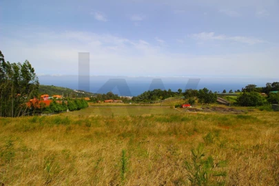 Terreno para Venda em Santa Cruz