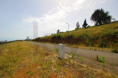 Terreno para Venda em Santa Cruz