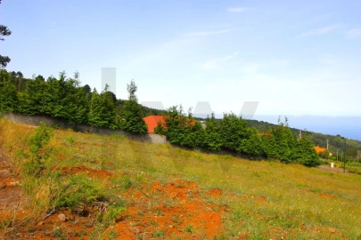 Terreno para Venda em Santa Cruz
