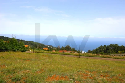 Terreno para Venda em Santa Cruz