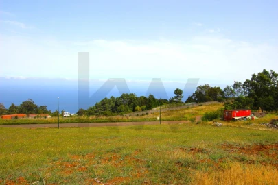 Terreno para Venda em Santa Cruz