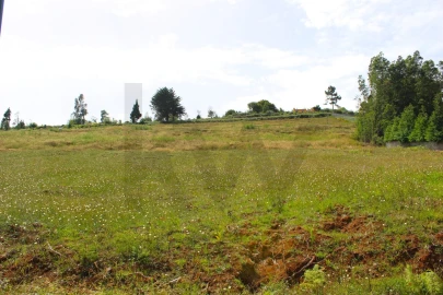 Terreno para Venda em Santa Cruz