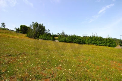 Terreno para Venda em Santa Cruz