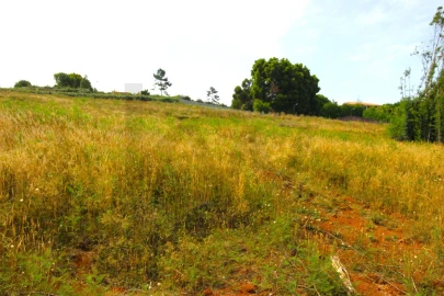 Terreno para Venda em Santa Cruz