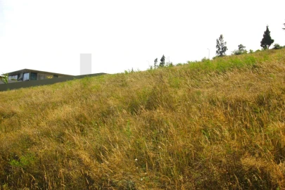 Terreno para Venda em Santa Cruz