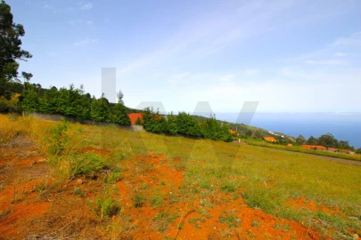 Terreno para Venda em Santa Cruz
