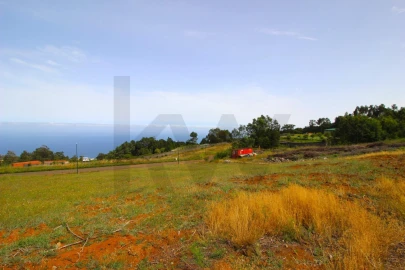 Terreno para Venda em Santa Cruz