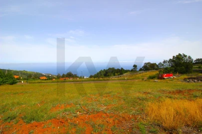 Terreno para Venda em Santa Cruz