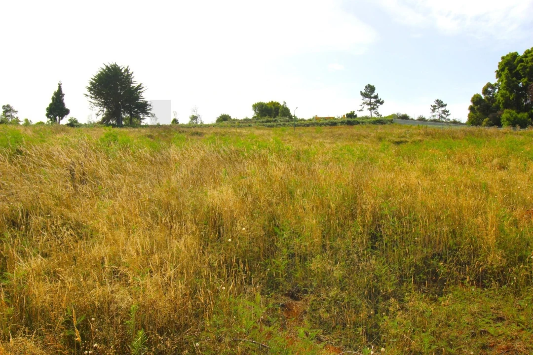 Terreno para Venda em Santa Cruz Foto 43