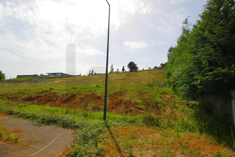 Terreno para Venda em Santa Cruz Foto 13
