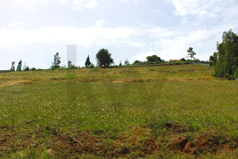 Terreno para Venda em Santa Cruz Foto 51