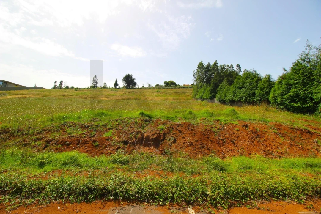 Terreno para Venda em Santa Cruz Foto 14