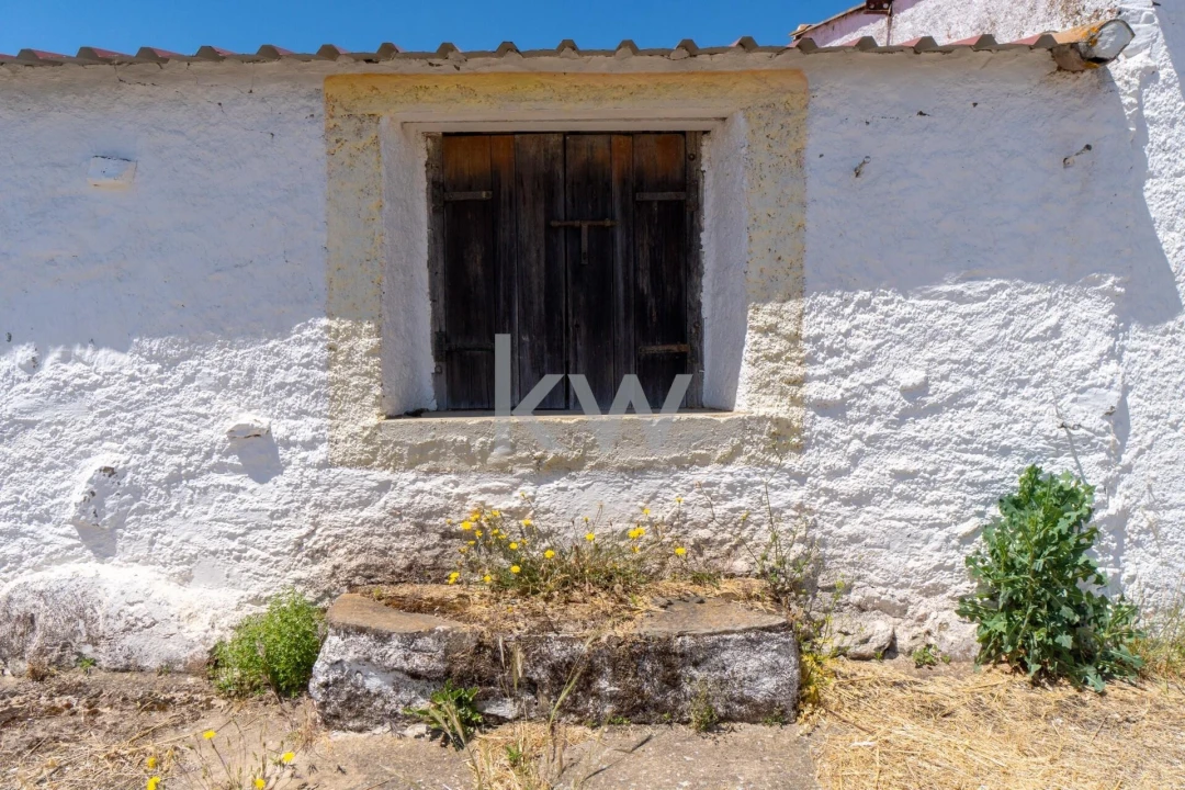 Quinta T5 para Venda em São Miguel do Pinheiro, São Pedro de Solis, São Sebastião dos Carros Foto 40