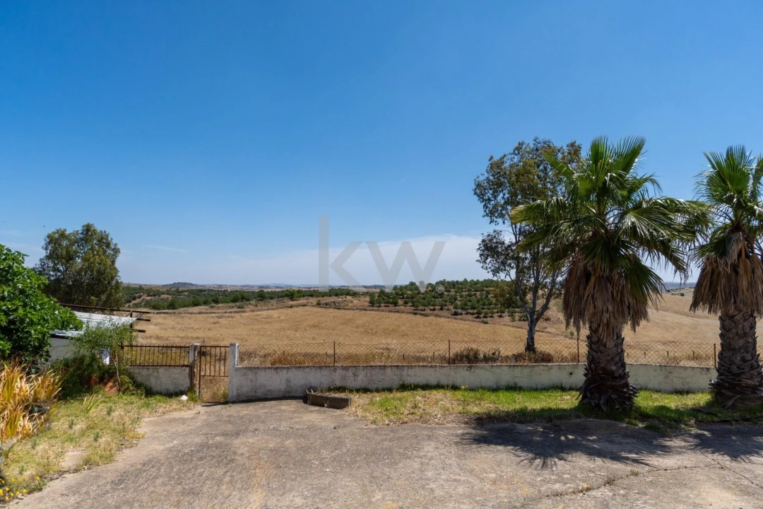 Quinta T5 para Venda em São Miguel do Pinheiro, São Pedro de Solis, São Sebastião dos Carros Foto 32